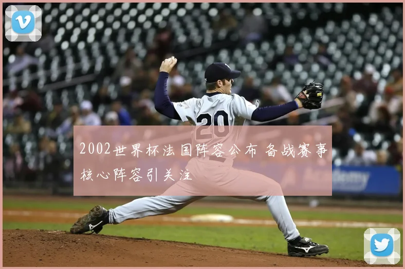 2002世界杯法国阵容公布 备战赛事核心阵容引关注